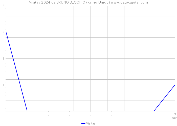 Visitas 2024 de BRUNO BECCHIO (Reino Unido) 