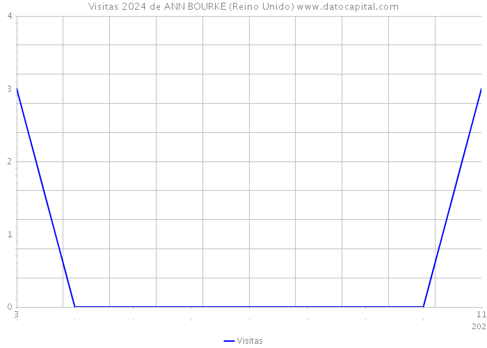 Visitas 2024 de ANN BOURKE (Reino Unido) 