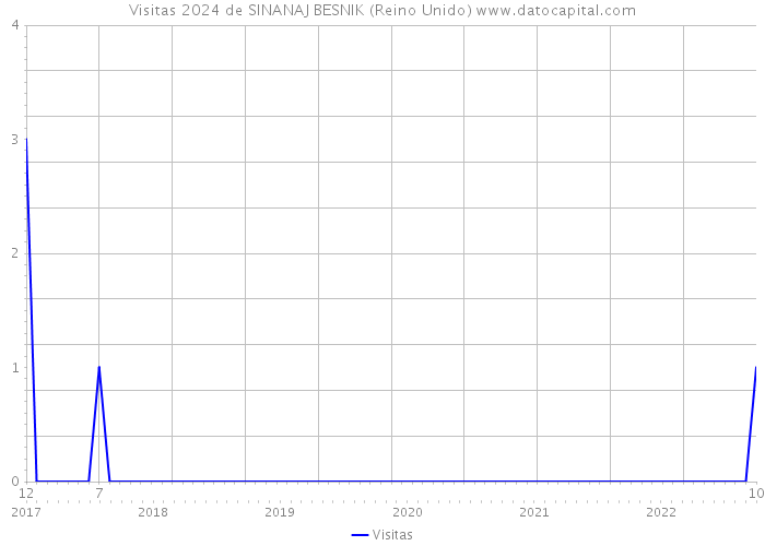 Visitas 2024 de SINANAJ BESNIK (Reino Unido) 