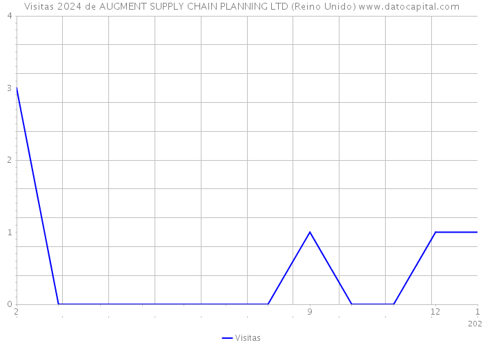 Visitas 2024 de AUGMENT SUPPLY CHAIN PLANNING LTD (Reino Unido) 