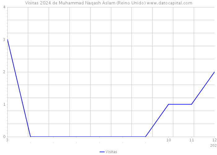 Visitas 2024 de Muhammad Naqash Aslam (Reino Unido) 