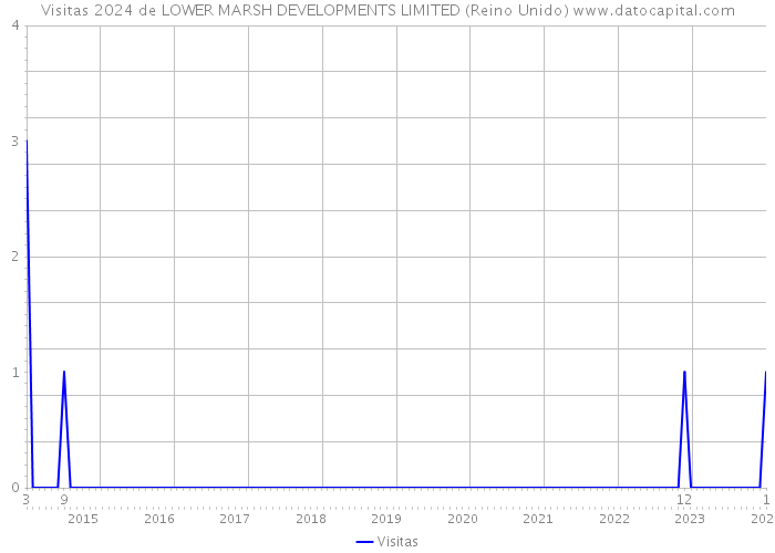 Visitas 2024 de LOWER MARSH DEVELOPMENTS LIMITED (Reino Unido) 