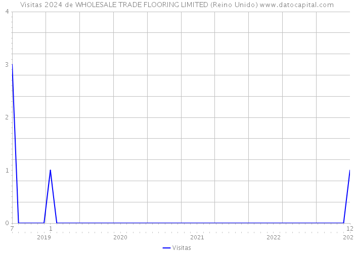 Visitas 2024 de WHOLESALE TRADE FLOORING LIMITED (Reino Unido) 