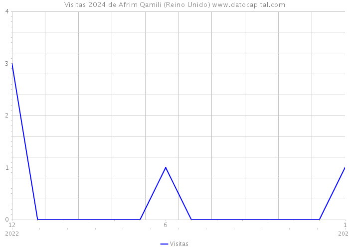 Visitas 2024 de Afrim Qamili (Reino Unido) 