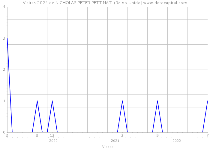 Visitas 2024 de NICHOLAS PETER PETTINATI (Reino Unido) 