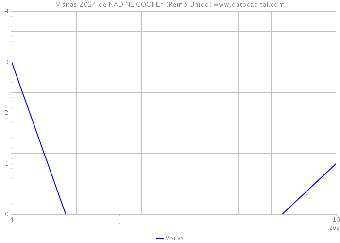 Visitas 2024 de NADINE COOKEY (Reino Unido) 