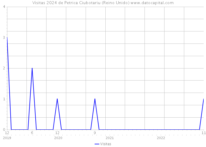 Visitas 2024 de Petrica Ciubotariu (Reino Unido) 