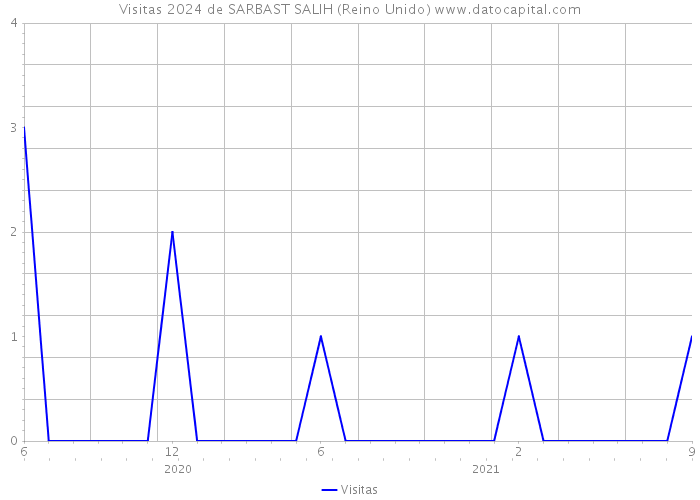 Visitas 2024 de SARBAST SALIH (Reino Unido) 