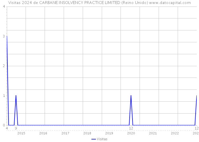 Visitas 2024 de CARBANE INSOLVENCY PRACTICE LIMITED (Reino Unido) 