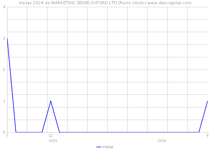 Visitas 2024 de MARKETING SENSE OXFORD LTD (Reino Unido) 