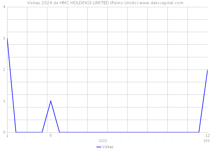 Visitas 2024 de HMC HOLDINGS LIMITED (Reino Unido) 