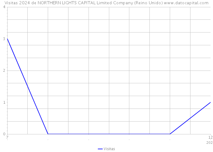 Visitas 2024 de NORTHERN LIGHTS CAPITAL Limited Company (Reino Unido) 