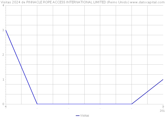 Visitas 2024 de PINNACLE ROPE ACCESS INTERNATIONAL LIMITED (Reino Unido) 