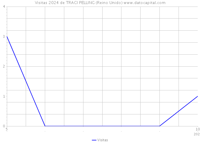 Visitas 2024 de TRACI PELLING (Reino Unido) 