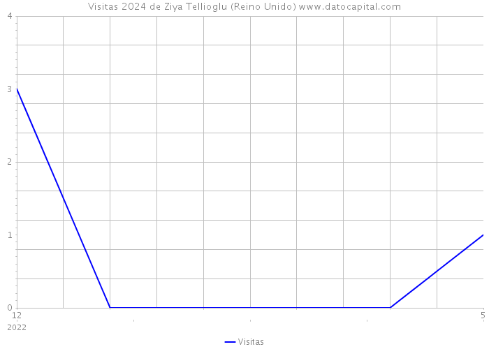 Visitas 2024 de Ziya Tellioglu (Reino Unido) 