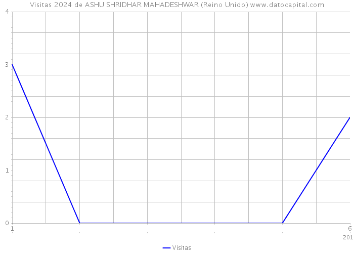 Visitas 2024 de ASHU SHRIDHAR MAHADESHWAR (Reino Unido) 