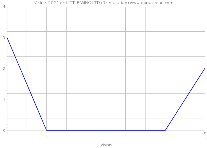 Visitas 2024 de LITTLE WING LTD (Reino Unido) 