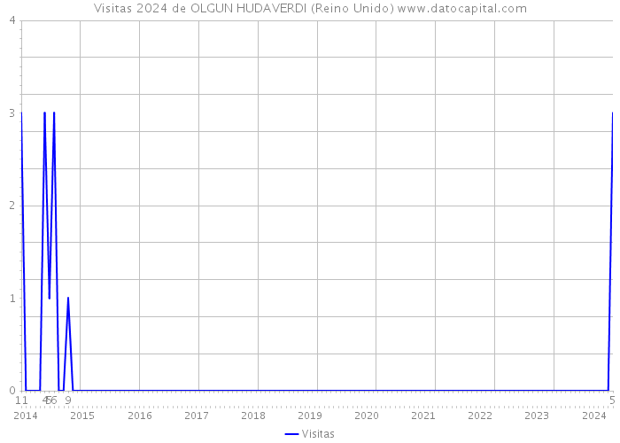 Visitas 2024 de OLGUN HUDAVERDI (Reino Unido) 