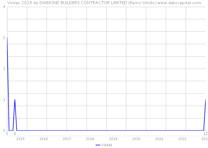 Visitas 2024 de DIAMOND BUILDERS CONTRACTOR LIMITED (Reino Unido) 