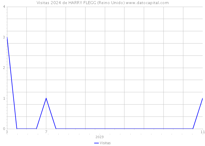 Visitas 2024 de HARRY FLEGG (Reino Unido) 