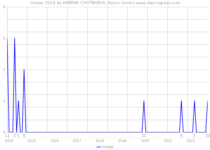 Visitas 2024 de MEERIM CHOTBAEVA (Reino Unido) 