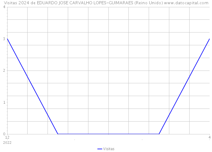 Visitas 2024 de EDUARDO JOSE CARVALHO LOPES-GUIMARAES (Reino Unido) 