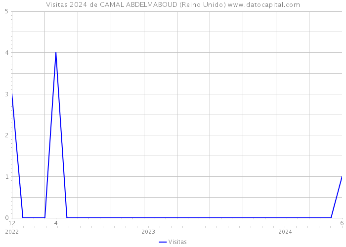 Visitas 2024 de GAMAL ABDELMABOUD (Reino Unido) 