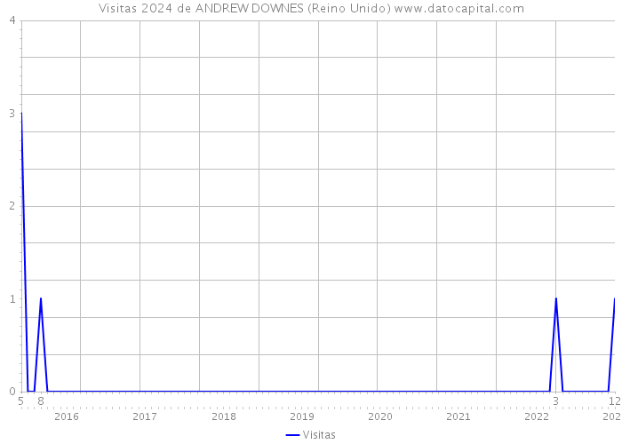 Visitas 2024 de ANDREW DOWNES (Reino Unido) 