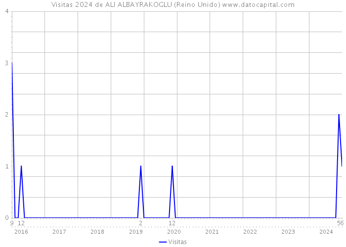 Visitas 2024 de ALI ALBAYRAKOGLU (Reino Unido) 