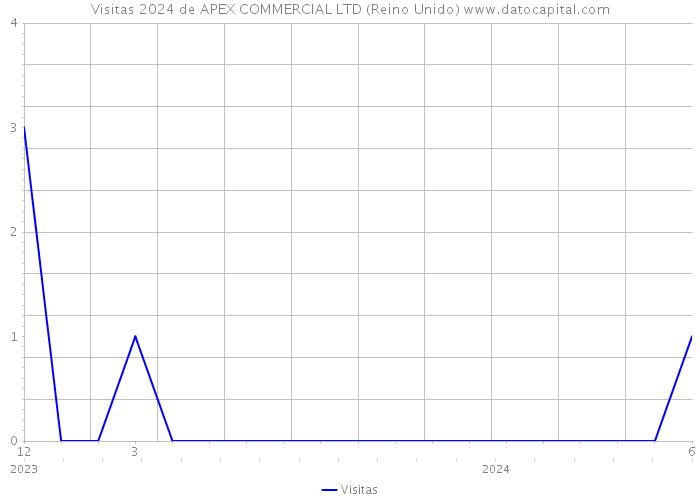 Visitas 2024 de APEX COMMERCIAL LTD (Reino Unido) 