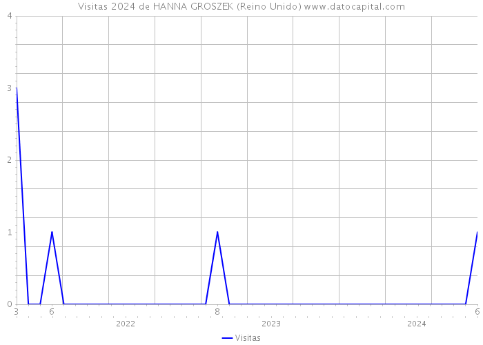 Visitas 2024 de HANNA GROSZEK (Reino Unido) 