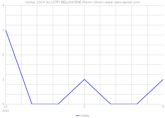 Visitas 2024 de LOTFI BELLAHCENE (Reino Unido) 