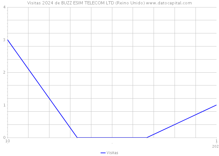 Visitas 2024 de BUZZ ESIM TELECOM LTD (Reino Unido) 