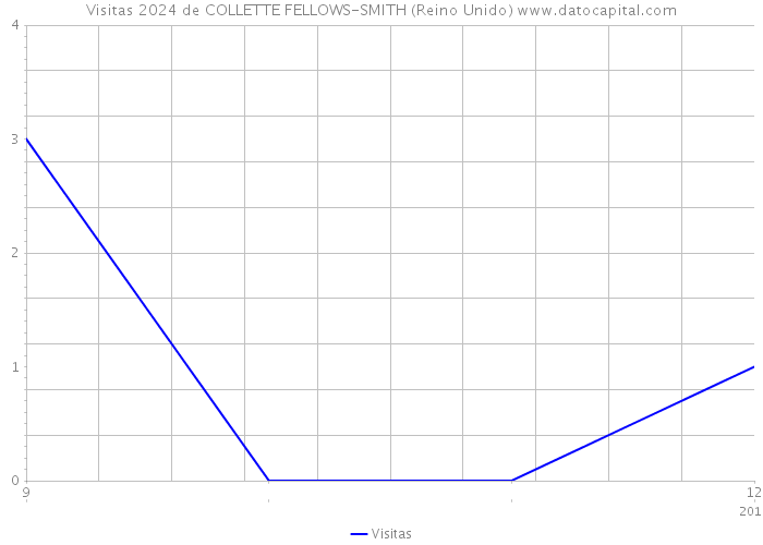 Visitas 2024 de COLLETTE FELLOWS-SMITH (Reino Unido) 
