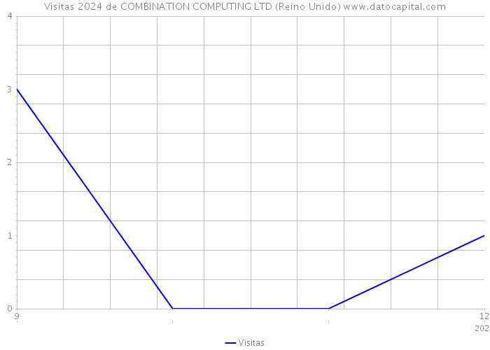 Visitas 2024 de COMBINATION COMPUTING LTD (Reino Unido) 