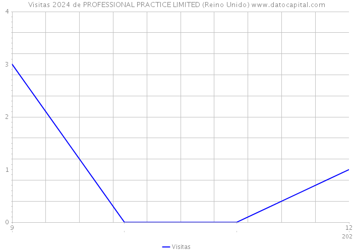 Visitas 2024 de PROFESSIONAL PRACTICE LIMITED (Reino Unido) 