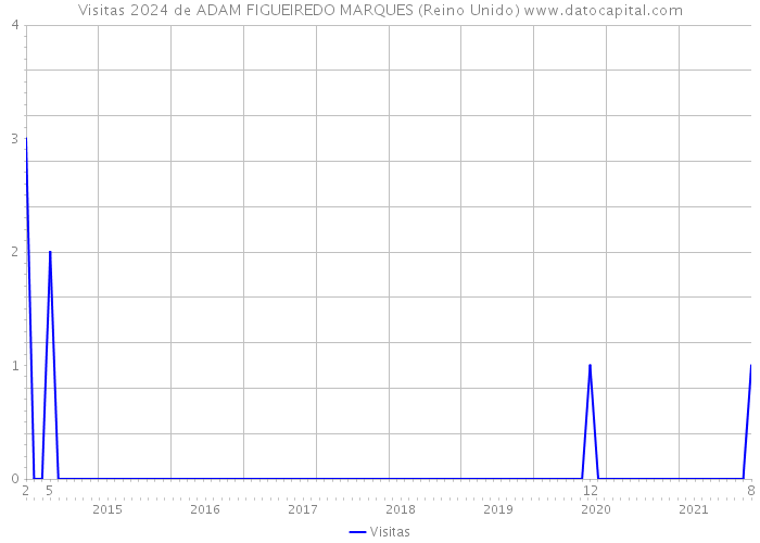 Visitas 2024 de ADAM FIGUEIREDO MARQUES (Reino Unido) 