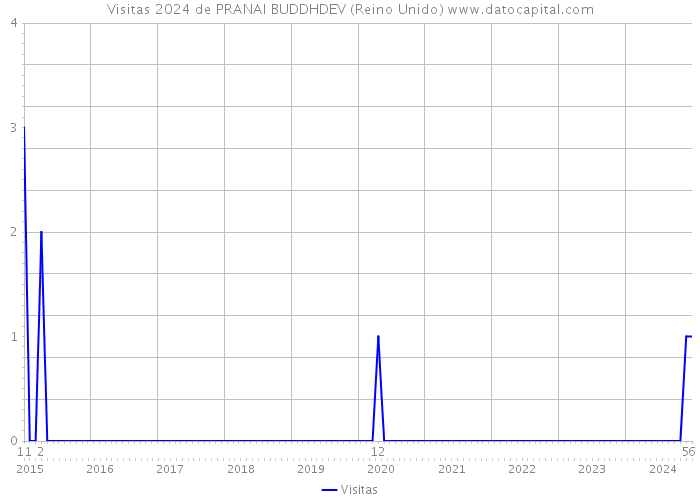 Visitas 2024 de PRANAI BUDDHDEV (Reino Unido) 