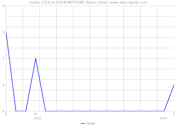 Visitas 2024 de DIANE BRITCHER (Reino Unido) 