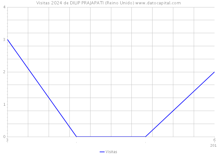 Visitas 2024 de DILIP PRAJAPATI (Reino Unido) 