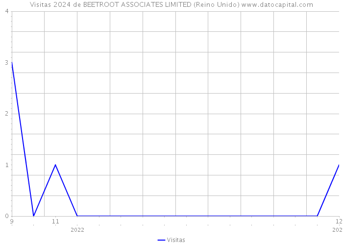 Visitas 2024 de BEETROOT ASSOCIATES LIMITED (Reino Unido) 