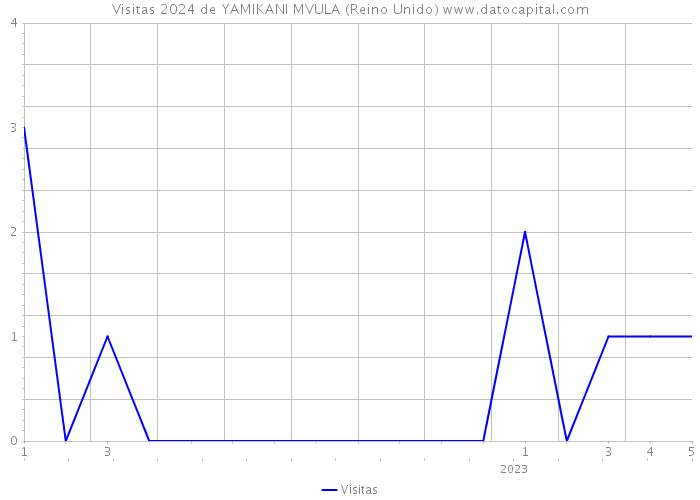 Visitas 2024 de YAMIKANI MVULA (Reino Unido) 