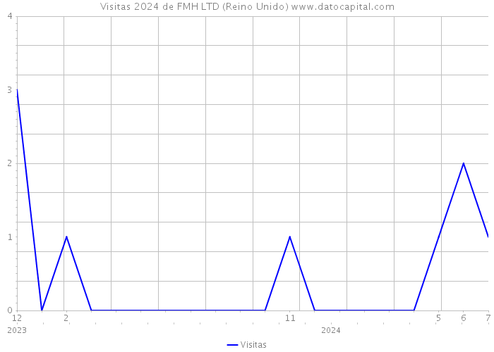 Visitas 2024 de FMH LTD (Reino Unido) 