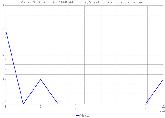 Visitas 2024 de COLOUR LAB SALON LTD (Reino Unido) 