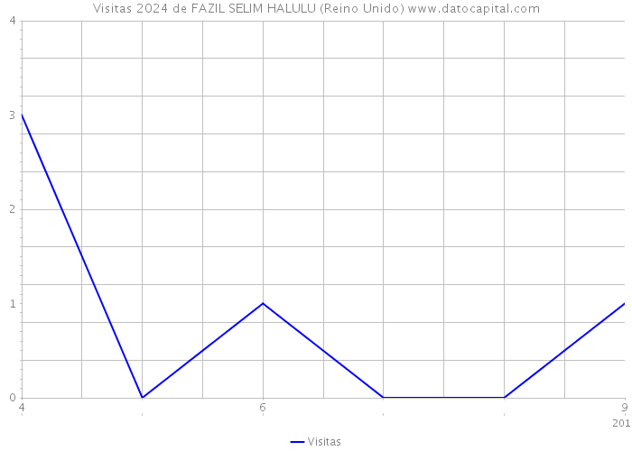 Visitas 2024 de FAZIL SELIM HALULU (Reino Unido) 