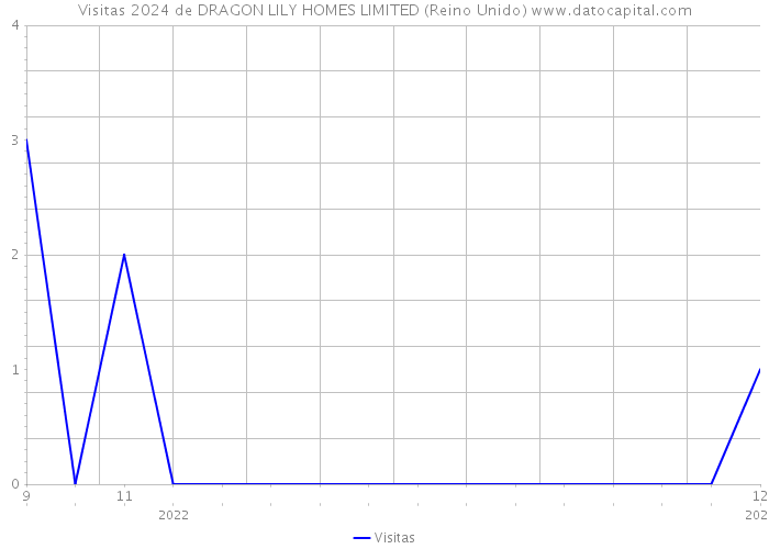 Visitas 2024 de DRAGON LILY HOMES LIMITED (Reino Unido) 