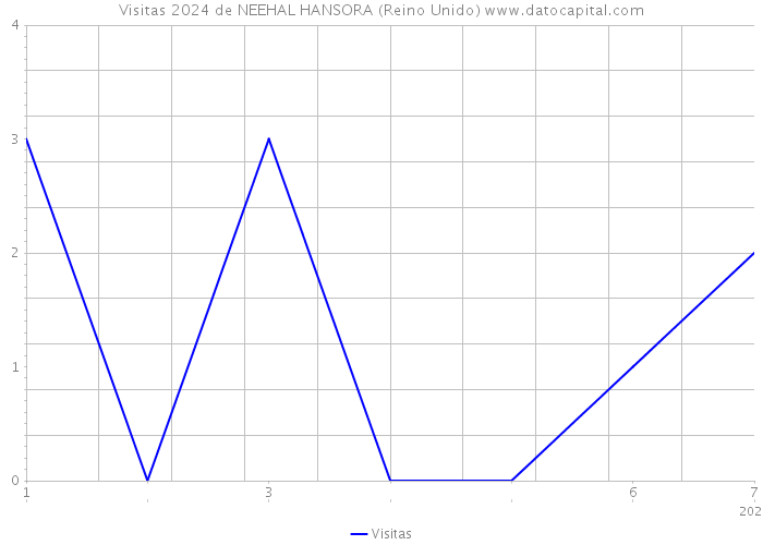 Visitas 2024 de NEEHAL HANSORA (Reino Unido) 