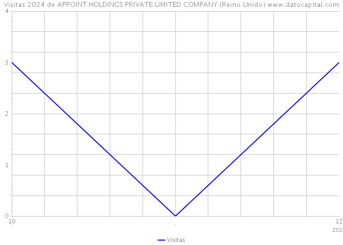 Visitas 2024 de APPOINT HOLDINGS PRIVATE LIMITED COMPANY (Reino Unido) 