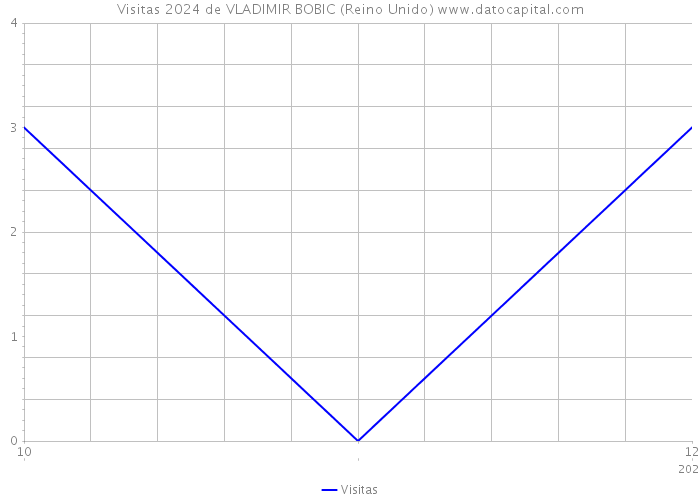 Visitas 2024 de VLADIMIR BOBIC (Reino Unido) 