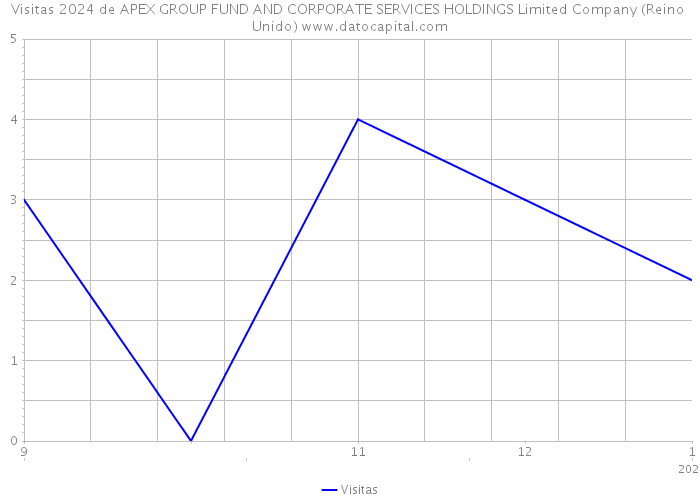 Visitas 2024 de APEX GROUP FUND AND CORPORATE SERVICES HOLDINGS Limited Company (Reino Unido) 